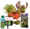vdvelde.com - Swampworld Fleischfressende Pflanzen DIY Terrarium Set 3 + Buch, Wassermesser & Erde - 1x Venusfliegenfalle, 1x Sonnentau & 1x Schlauchpflanze - Topf-Ø 9 cm, Pflanzenhöhe: 10-20 cm