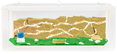 AntHouse - Natürliche Ameisenfarm aus Sand | 3D Weiß Big Starter Set 30x15x10 cm | Inklusive Ameisenkolonie