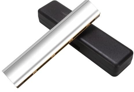 Echo Mundharmonika 24 Löcher Polyphone C Melodie Für Anfänger Und Erwachsene Für Selbststudium(Type 2)