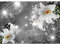 Runa Art Fototapete Lilien Blumen Ornament 352 x 250 cm Vlies Tapeten XXL Moderne Wandtapete Wohnzimmer Schlafzimmer Schwarz Weiss 9195011b