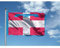 Ns Produzione Bandiere Bandiera REGIONE Piemonte cm.100x150 Tessuto Nautico Antivento 130gr.mq, Ottima Resistenza o Lana 220gr.mq (Nautilus 130gr.mq.)