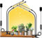 FRGROW Pflanzenlampe LED Vollspektrum, Pflanzenlicht für Zimmerpflanzen, Pflanzenleuchte, 3000k/5000k/660nm Vollspektrum Pflanzenlampe, Wachstumslampe für Pflanzen, 10 Stufen Dimmbar,Timer