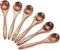 YSTrillion Holzlöffel Esslöffel,6 Stück Natürlich Hölzern Löffel Gabel Set,Umweltfreundlicher Holzlöffel für Kaffee-Tee-Honig Essen Mischen Rühren Kochen 14 * 3CM