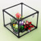Boîte de présentation en acrylique pour plantes grasses Lego 10309 - Transparent - Anti-poussière - Compatible avec kit de construction Lego 10309 (modèle non inclus)