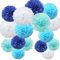 Time to Sparkle 16pcs Mix Tissue Paper Pompoms Pom Poms Flower Handmade Wedding Party Decorations Balls, Baby Blue Shade