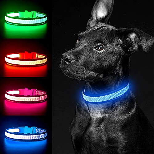 YFbrite Leuchtendes Hundehalsband, wiederaufladbares LED-Hundehalsbands, blinkendes verstellbares reflektierendes Hundehalsbands, Sicherheit leuchtet bei Nacht (Blau, S)