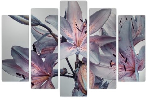 AREDE Set di 5 Stampe da Parete Quadri Moderni Decorazioni da Muro per Casa Soggiorno Camera da Letto e Cucina Lilium| 120 x 80 cm | Pronto da appendere