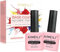 AIMEILI Base y Top Coat Semipermanente Esmaltes Semipermanentes para Uñas en Gel UV LED Gel de Uñas Kit de Esmaltes de Uñas Kit de Manicura Soak off Manicura y Pedicura 2 x 15ml