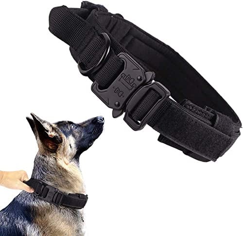 Starkes Hundehalsband für Groß Trainingshund (XL, Schwarz)