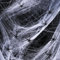 JOYSAL Halloween Deko Spinnennetz, 200g Weiß Outdoor Spinnweben Dekoration Mit 40 Horror Schwarz Spinnen 1000m²Indoor Groß Spiderweb gruselig Decoration, für Halloween Dekorationen, Partyzubehör
