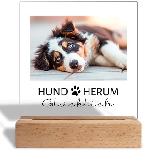 Personalisiertes Foto Geschenk für Hundebesitzer: Acrylaufsteller mit eigenem Bild, Geschenke für Hundeliebhaber Gedenktafel Haustiere- Acrylglas inkl. Holzsockel - 15x18 cm (Hund Herum)