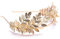 Anglacesmade Brautschmuck, Blatt- / Weinrebe-Stirnband, golden, Diadem, für Hochzeit, Abschlussball Festival, Haarschmuck für Frauen und Mädchen