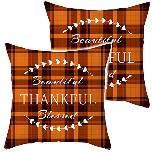2er-Set Dekokissen Kissenbezüge 45x45 cm, Couch Überwurf Taille Quadratischer Kissenbezug, Kissenbezug für Zuhause Auto Deko, Samt, schöne Herbstfarben