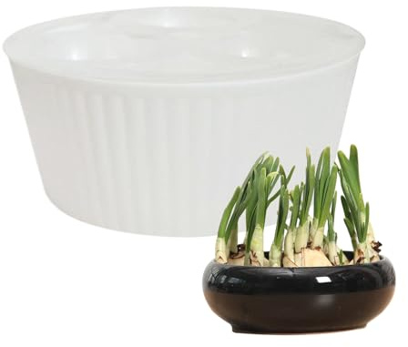 Opdestn Vaso Idroponico Per Piante | Contenitore Da Coltivazione Di Giacinto Con 3 Fori,Vaso per Bulbi di Giacinto | Per Giardinieri Insegnanti Anziani Principianti Davanzale Cucina Soggiorno
