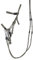 QHP Knotenhalfter-Set Multifunktion (Warmblut, Olive)