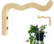 Ahuuen Percha de madera para macetas, gancho de madera para plantas, Gancho para soporte de plantas, Gancho para colgar plantas, gancho para cesta, colgador de pared para plantas, gancho para plantas,