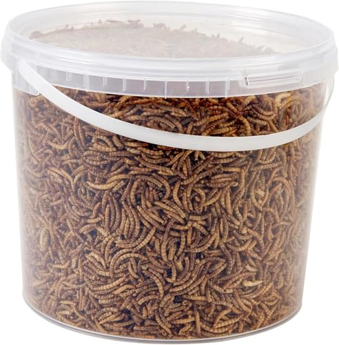 Wild Bird Food 5L Tub (5L Tub, Dried Mealworms)