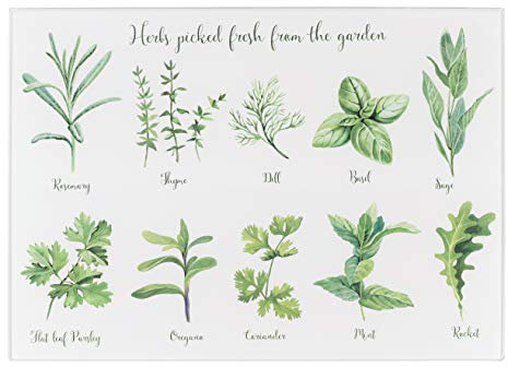 Tala Herbs Design - Protector de encimera de vidrio endurecido, antideslizante, multifuncional, mide 30 x 40 cm