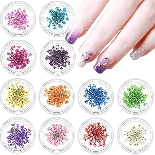 Votvlog 12 Boxen Nail Art Flowers Set Getrocknete Blumen für Nägel Nail Art Nageldekorationen Getrocknete Blumen für Nägel Bunte Nägel für Frauen, Blumen Kit Getrocknete Blumen Zubehör Set für Nägel