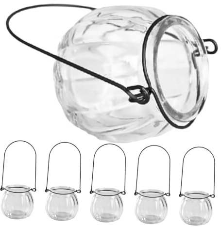 OFFSCH Hängende Anzuchtstation 6 Stück Wandpflanzgefäße Aus Klarem Glas Für Zimmerpflanzen Hydrokulturvasen Für Innenräume Einfache Installation Und Stilvolles Design Verbesserte