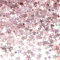 Étoilé Confettis 60 Grammes - Scintillants pour Décorations de Mariage et Fête Anniversaire (Or Rose)