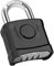 Diyife Heavy Duty Combination Padlocks, [Weatherproof Outdoor] Large 4 Digit Code Lock, 54mm with 8mm Thick 304 Stainless Steel Shackle Padlock for Gate, Shed,Fence, Hasp, School, Gym (Black)