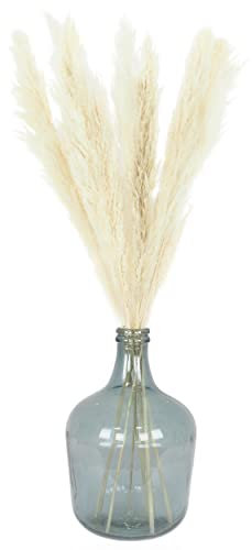 LIGNE DÉCO – Plumeau de la Pampa - Lot de 6 - Décoratif - Élégant - Tendance Déco - Durable - Entretien Facile – Fleurs Séchées - Naturelle - 105cm