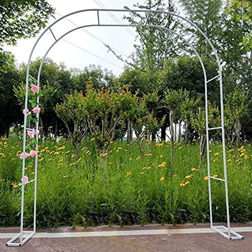 Gartenbogen, Rosenbogen mit anmutiger Kurve für Kletterpflanzen, Clematis, Rosenbogen aus Metall, Pergola-Spalier, Gartenlaube, Rankgitter, wetterfest und freistehend, für Gartenrasen im F