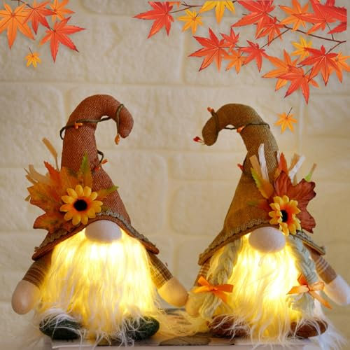 XNSHUN 2 Stück Herbstdeko Wichtel Mit Licht, Herbst Dekoration Wichtel Figuren, Herbst Dekoration Wichtel, Halloween Deko Mit LED Weihnachten Deko, Herbst Zwerg Plüsch Das Erntedankfest (Stil A)