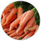 Riesen Mohrrüben/Karotten/Möhren/einzigartig und geschmackvoll/ca. 50 Samen/Hoher Carotingehalt/Vitaminbombe