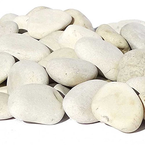 MGS SHOP Dekokies Zierkies Deko DIY Kies Granulat Splitt - Farbe wählbar (5 kg, cremeweiß 30-50)