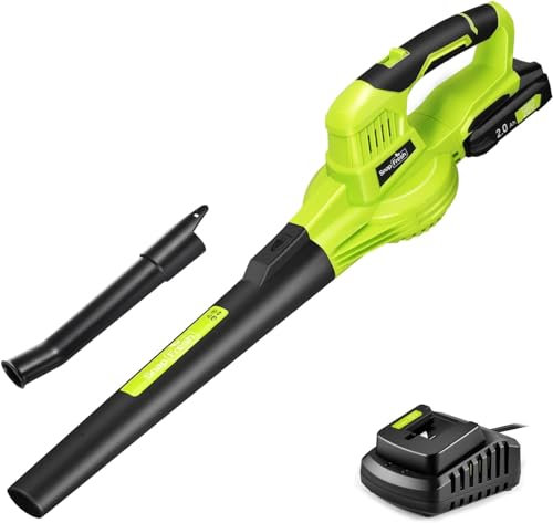 SnapFresh Soplador de hojas eléctrico de 20 V inalámbrico con batería y cargador, para cuidado del césped, alimentado por pilas
