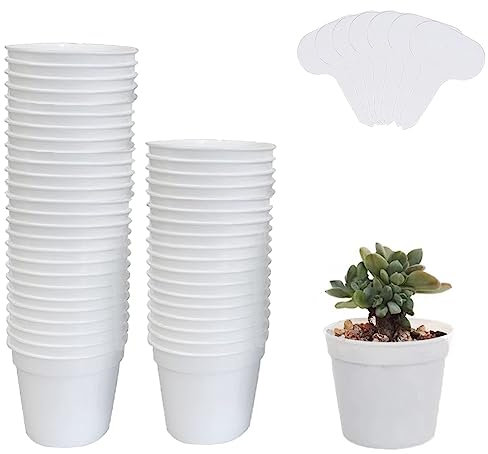 Qikaara 50 Stück weicher Plastik Pflanztopf, Ø6.7 cm Weiß Anzuchttöpfe rund Kunststoff Blumentöpfe für Sämlinge Stecklinge, Saattöpfe Töpfe runde Klein mit Pflanzenschilder