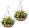 2 Pack Metal Hanging Flower Basket with Coco Liner 25 cm Round Hanging Planter Flower Pot Metal Wire Planter Basket with Chain for Indoor Outdoor Garden Patio Porch Decoration (2 Pack,10 inch/25cm )