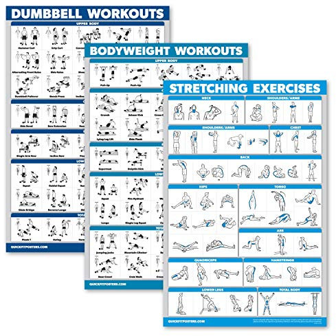QUICKFIT Hanteltraining + Bodyweight Übungen + Stretching Routine Poster Set mit 3 Workouts (laminiert, 45,7 x 68,6 cm)