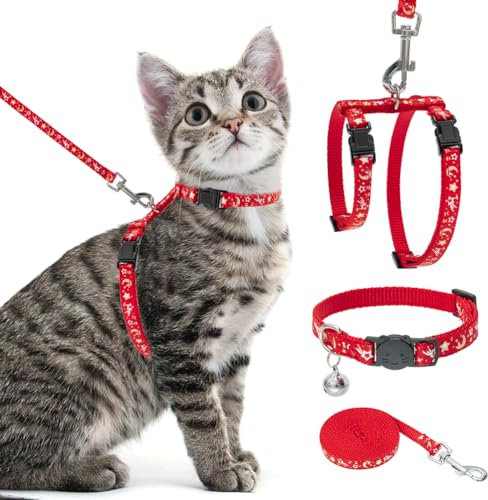PAWCHIE Katzengeschirr mit Leine und Halsband, ausbruchsicher, verstellbar, leuchtet im Dunkeln, für Kätzchen, Spaziergänge im Freien
