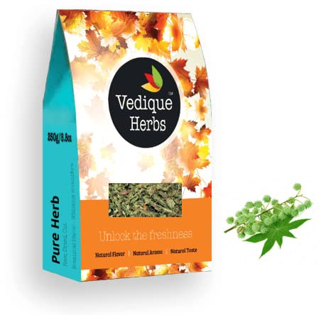 VEDIQUE HERBS Rizinusblätter (Eranda | Ricinus communis) – 250 g | roh, roh, getrocknet, T-Cut | Premiumqualität