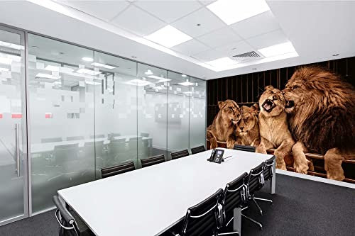 Vlies Fototapete LÖWE UND DREI LÖWIN 375 x 250 cm (inkl. Kleister) - Vlies Tapete, Wandtapete, Wandbilder - Tapete für Wohnzimmer Schlafzimmer, Büro, Küche - Montagefertig