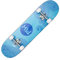 HIDETOSHI WAKASHIMA Street Skateboard 31 x 8 Zoll - Komplettboard für Einsteiger aus stabilem Holz und Aluminium, geeignet für Kinder, Teenager und Erwachsene mit verschiedenen Motive (Minami)