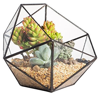 NCYP Terrario per Piante Geometriche in Vetro Moderno, Fatto a Mano a Forma di Mezza Palla Vaso da Fiori, davanzale Trasparente Centrotavola Decor Fioriera per Piante Grasse (Nessuna Pianta Inclusa)