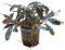 Aquatic Plants - Vier Pflanzen von Selten BUCEPHALANDRA *TOP-RARITÄT*