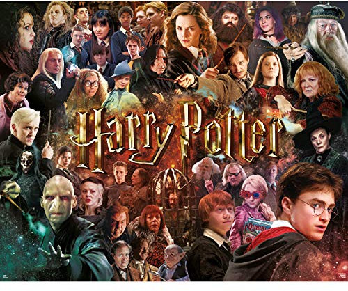 Harry Potter Jigsaw Puzzle 1000 Pieces Movie Collage Wizarding World 1000 Pc Harry Potter Game