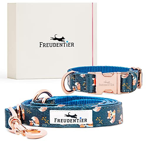 FREUDENTIER Hundehalsband mit Hundeleine 2m im Set - Hundeleine verstellbar - Let's get Foxy Kollektion - Hundehalsband für kleine, mittelgroße und große Hunde - Inkl. Geschenkbox (30-40cm)