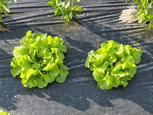 Kompostierbare Mulchfolie Gartenvlies 1,4 x 50 Meter gegen Unkraut Unkrautfolie kompostiert sich selbst im Boden innerhalb von 3 Monaten