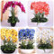 . 100 pz piante di orchidee di alta qualità alta simulazione fiore phalaenopsis orchidee piante per la casa giardino: rosso