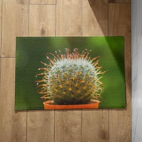 Isdreem Schmutzfangmatte Niedrig Türmatte Cute Kaktus Fußmatten Innenbereich Sauberlaufmatte Wash and Dry rutschfeste, Leichte Dekorationsmatten Aus Plüschbaumwolle, 45x75cm
