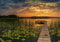 wandmotiv24 Fototapete See Steg Natur Seerosen, XL 350 x 245 cm - 7 Teile, Wanddeko, Wandbild, Wandtapete, Landschaft Sommer M6194