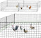 IDMarket - Kit clôture Filet à Poules 12 M avec Porte 6 piquets Double Pointe