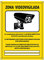 Cartel videovigilancia - Placa zona videovigilada – Carteles cámara vigilancia 20x15 cm - Amarillo Interior-Exterior - PVC (1 Pieza Cartel Videovigilancia)