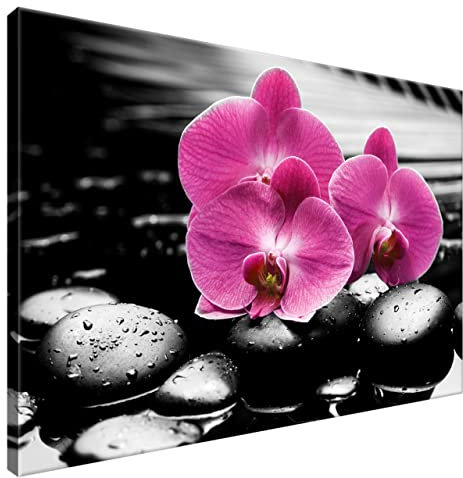 Estika Leinwand bilder - Rose Orchideen, Schwarz weiß Hintergrund - 90x60 cm, 1 teilige kunstdruck - Wandbilder wohnzimmer, schlafzimmer, Moderne wanddeko, Bild auf leinwand - 1380A_1L
